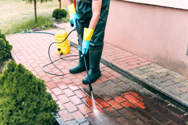 Best Roof Power Washing Services  in Powells Crossroads, TN