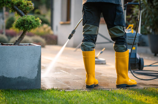 Best Deck Cleaning Services  in Powells Crossroads, TN